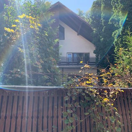 Timi Residence Brașov Exterior foto