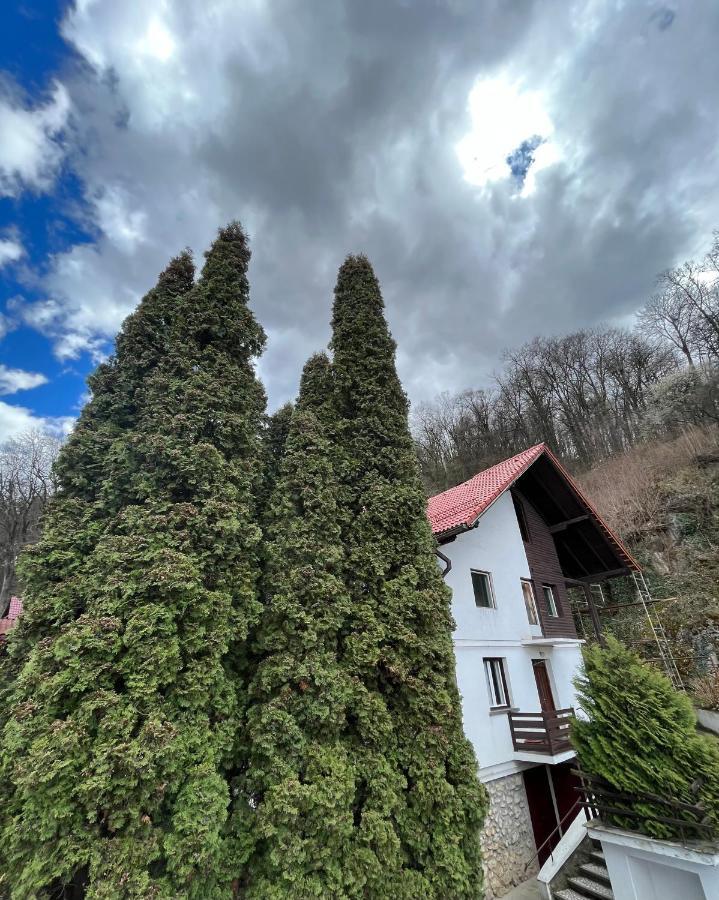 Timi Residence Brașov Exterior foto