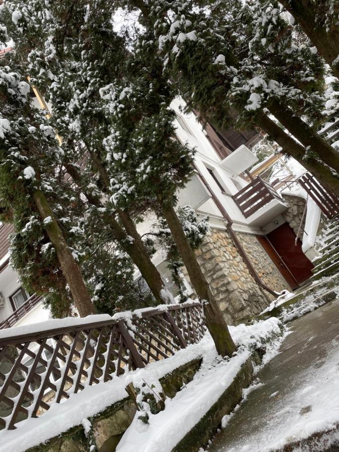 Timi Residence Brașov Exterior foto
